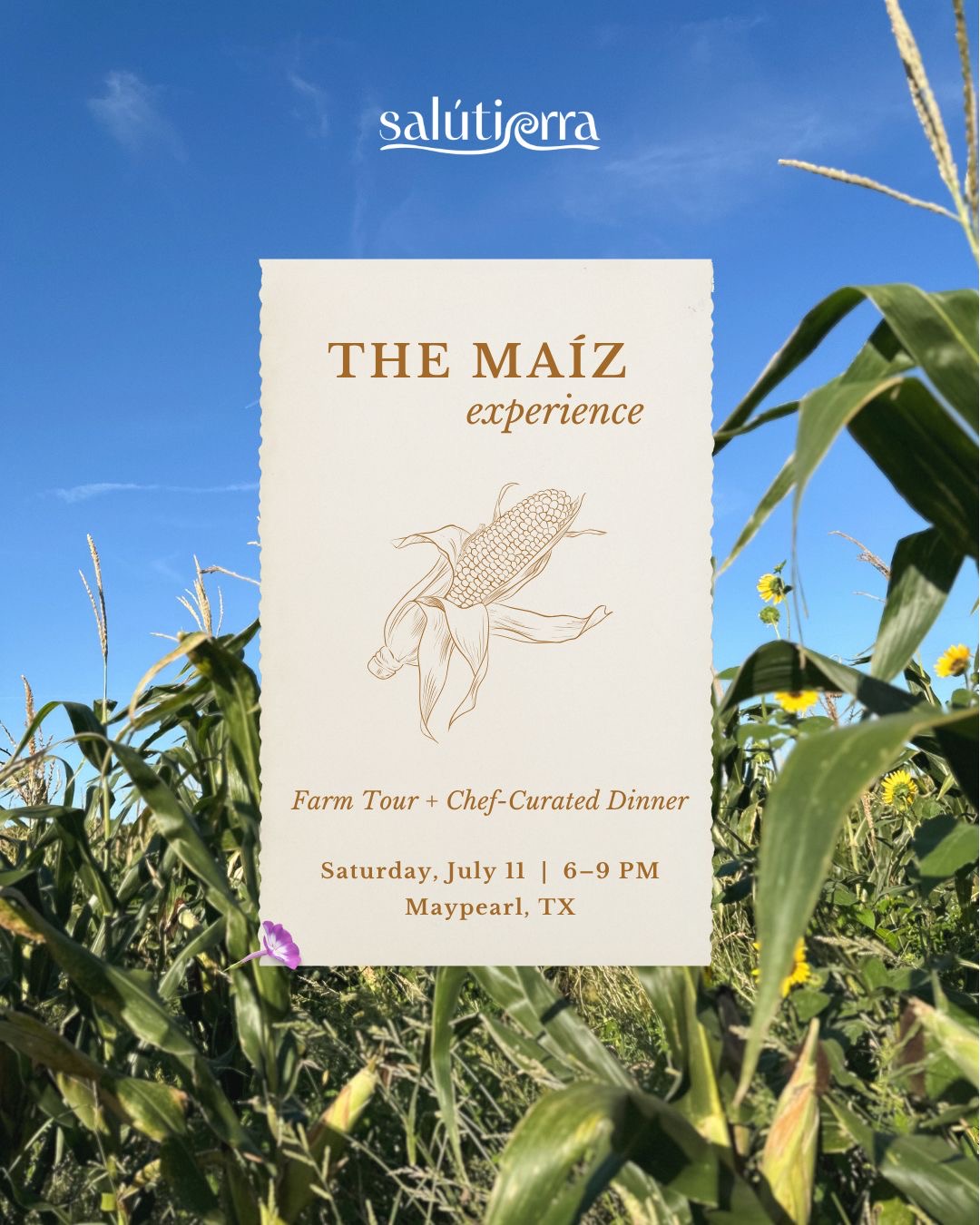 
                  
                    Maíz Experience - July 11th, 2026
                  
                