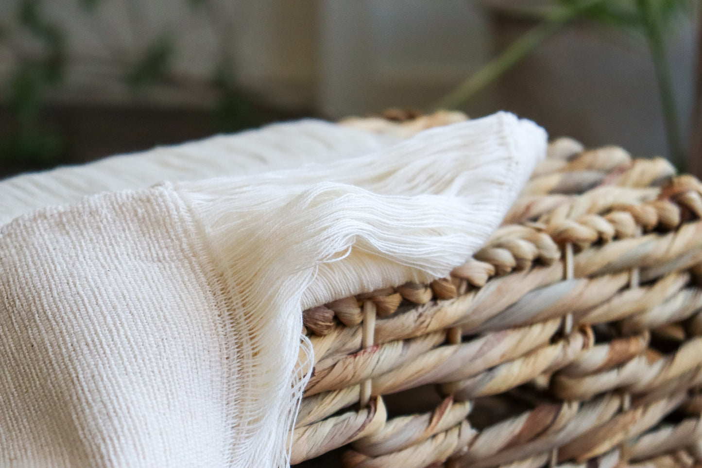 
                  
                    Spring Blanket
                  
                