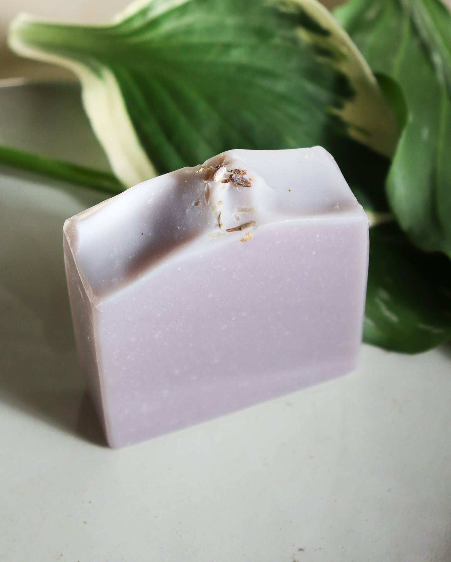 
                  
                    Soaps
                  
                